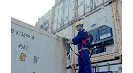 Dịch vụ Container